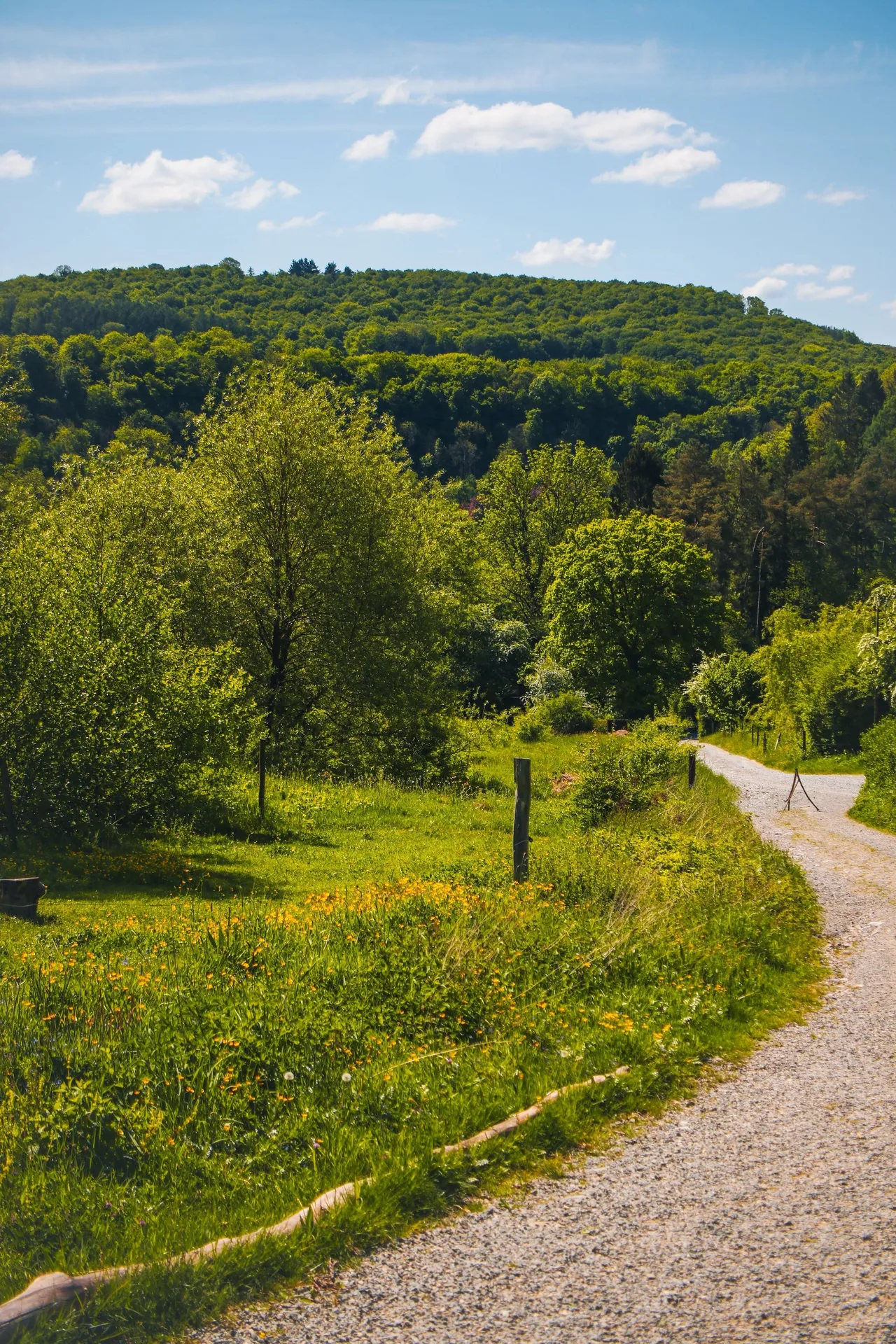 Le chemin en graviers qui mène aux 4 Sources