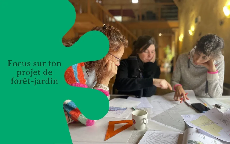 Focus sur ton projet de jardin-forêt 🌴