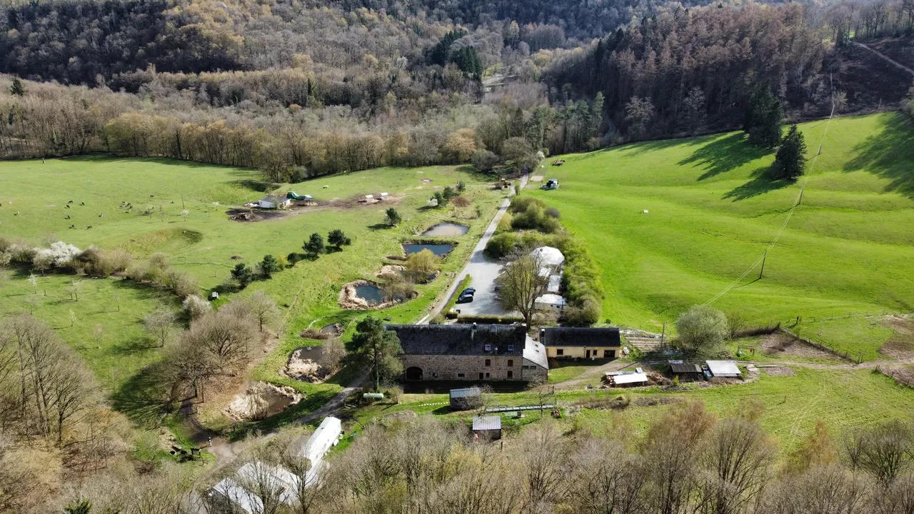 Les 4 Sources vues du ciel au printemps : la grange, les mares et les prairies