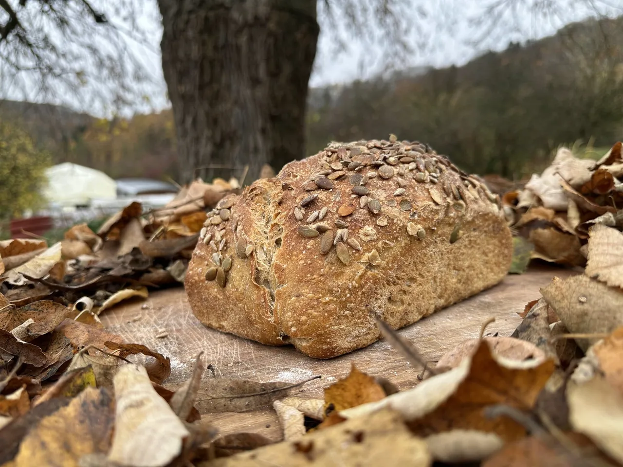 Atelier pain au levain