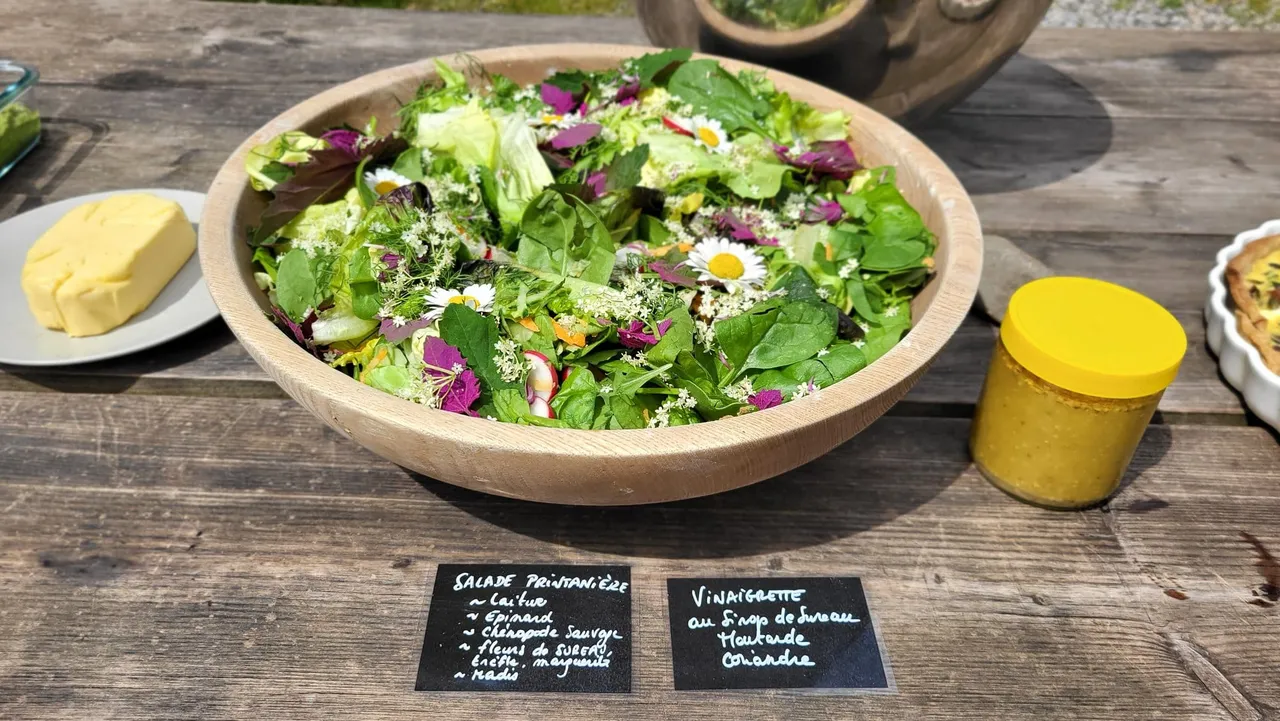 Cuisine d’un repas ou d’un goûter aux plantes sauvages