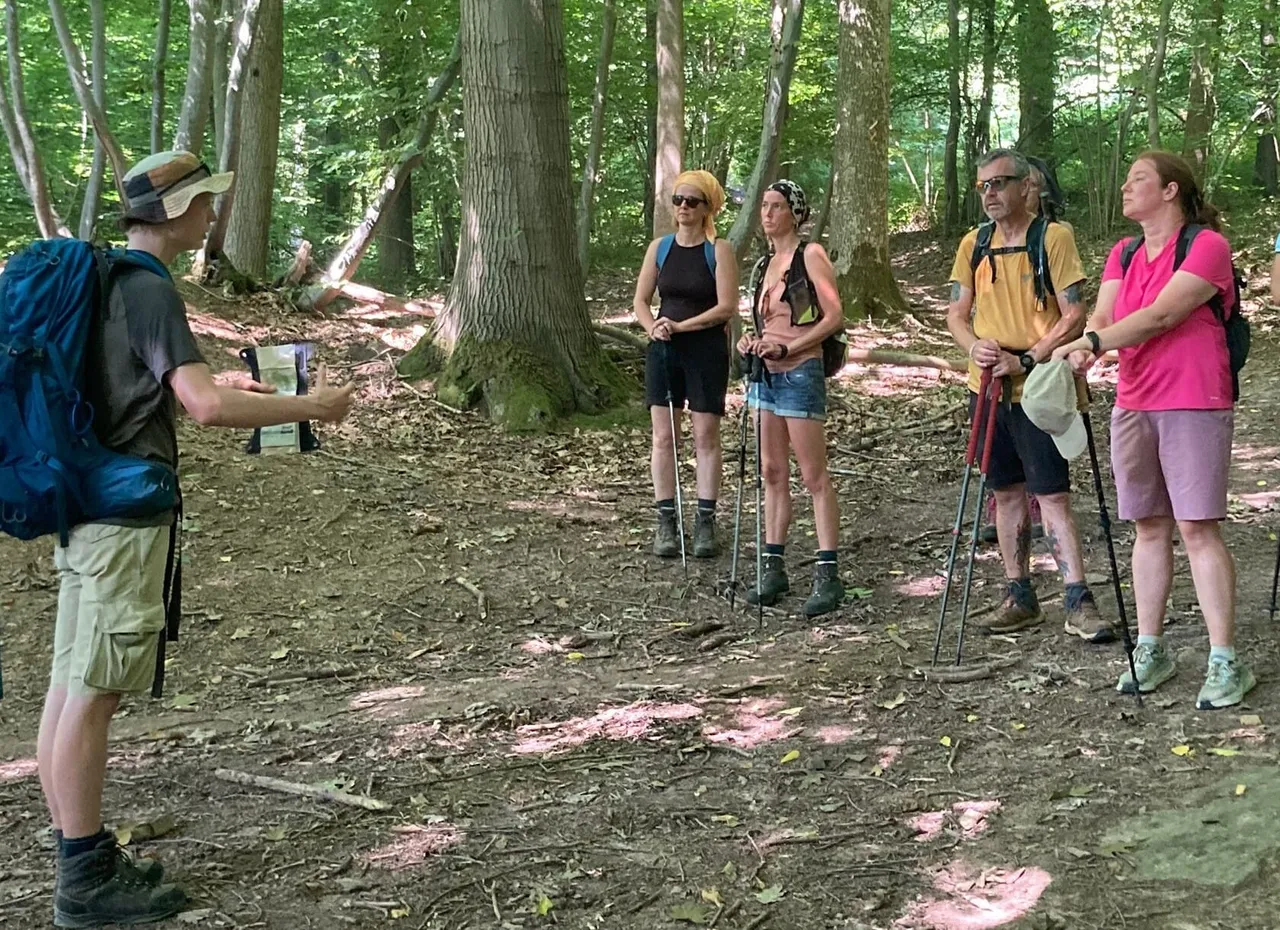 Un groupe de randonneurs à l’écoute d’un guide, en forêt