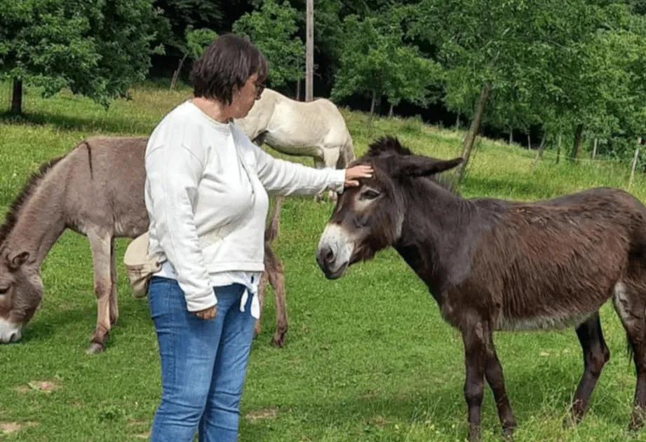 Rencontre avec le troupeau d’ânes
