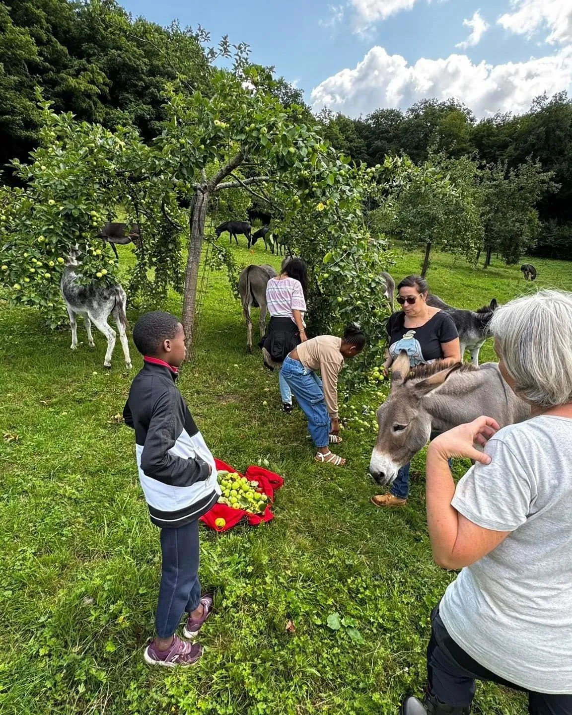 Des enfants et des adultes avec des ânes dans un verger