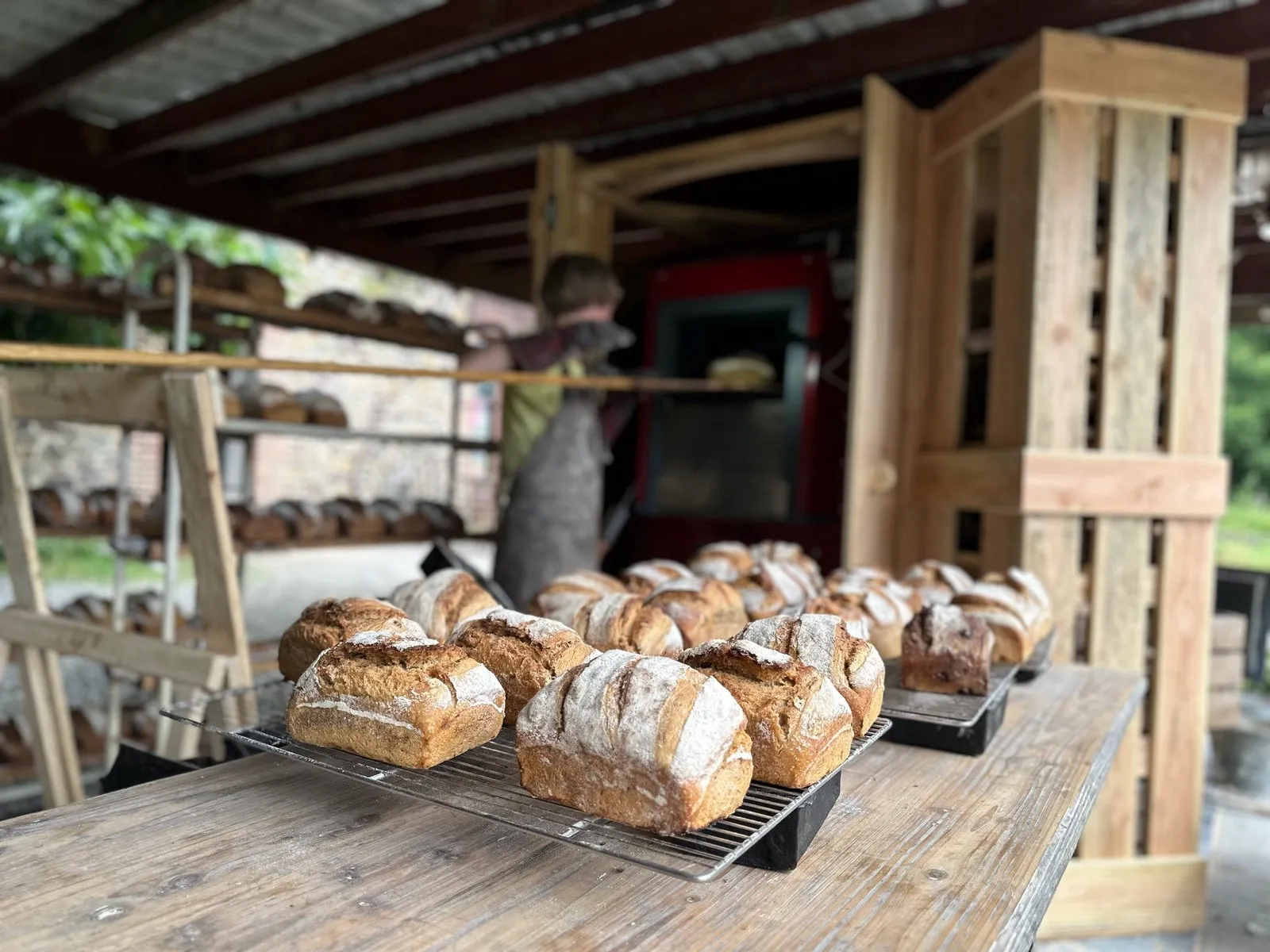 Des pains au levain tout juste sortis du four à bois