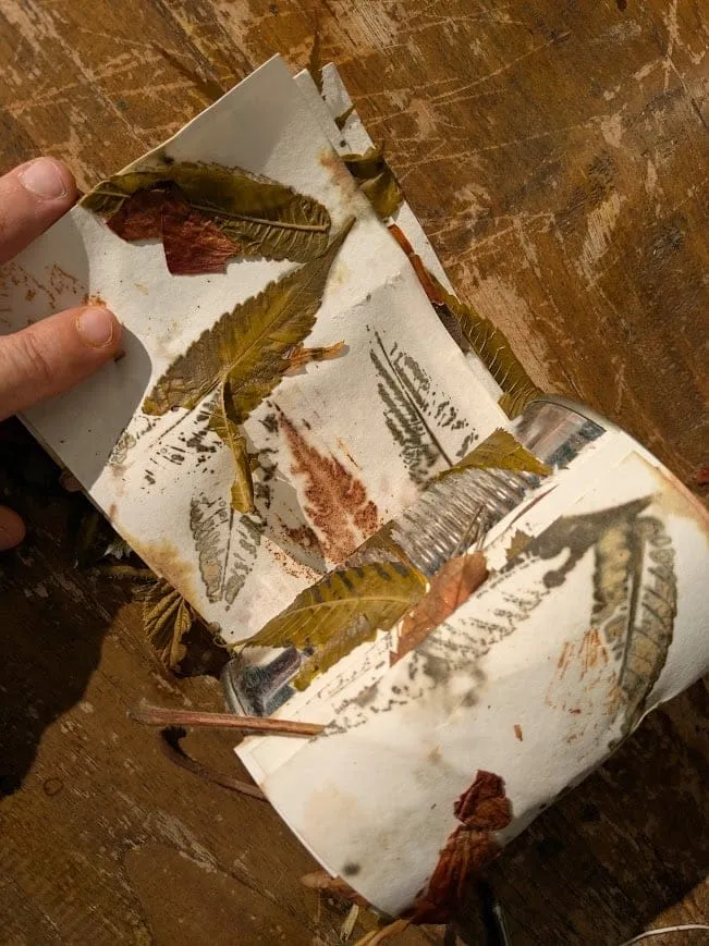 Une bande de papier imprimée de feuilles, déroulée à la main