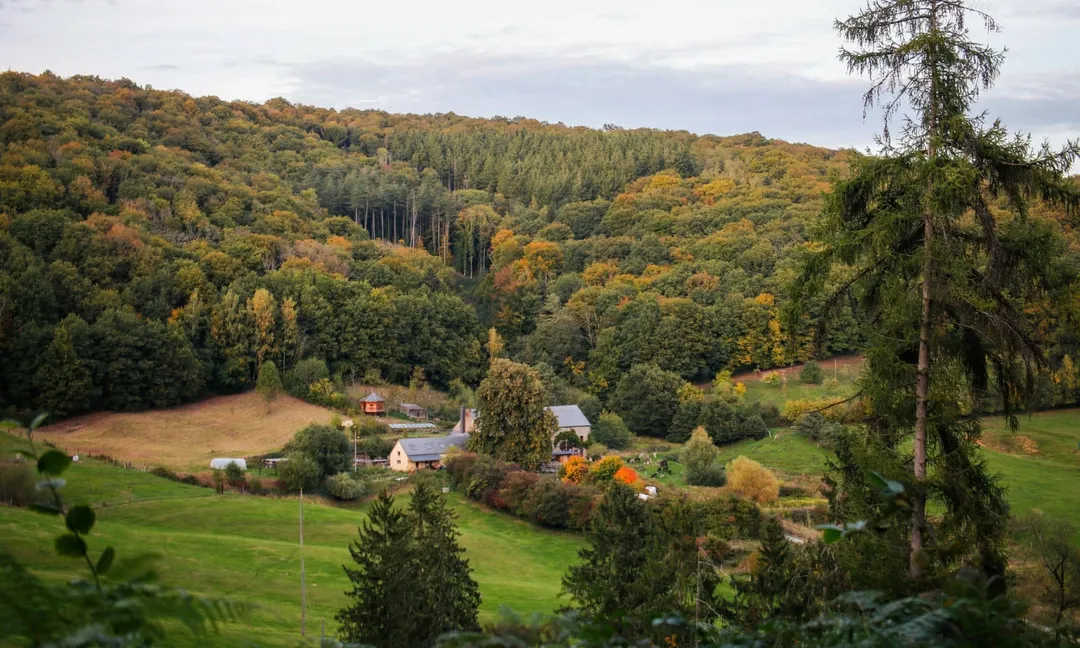 La vallée boisée autour des 4 Sources