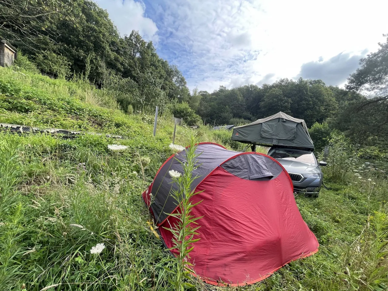 Hamacs dans le bois des 4 Sources