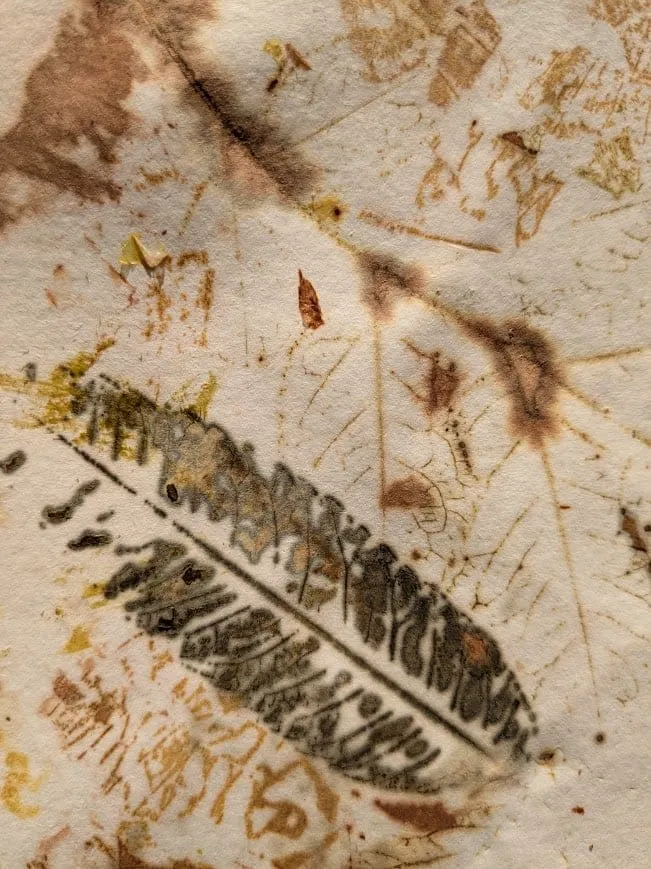 Empreinte d’une feuille sur papier, dans des tons bruns
