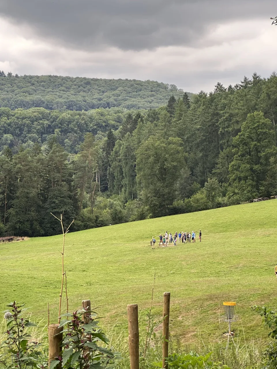 Le bois des 4 Sources