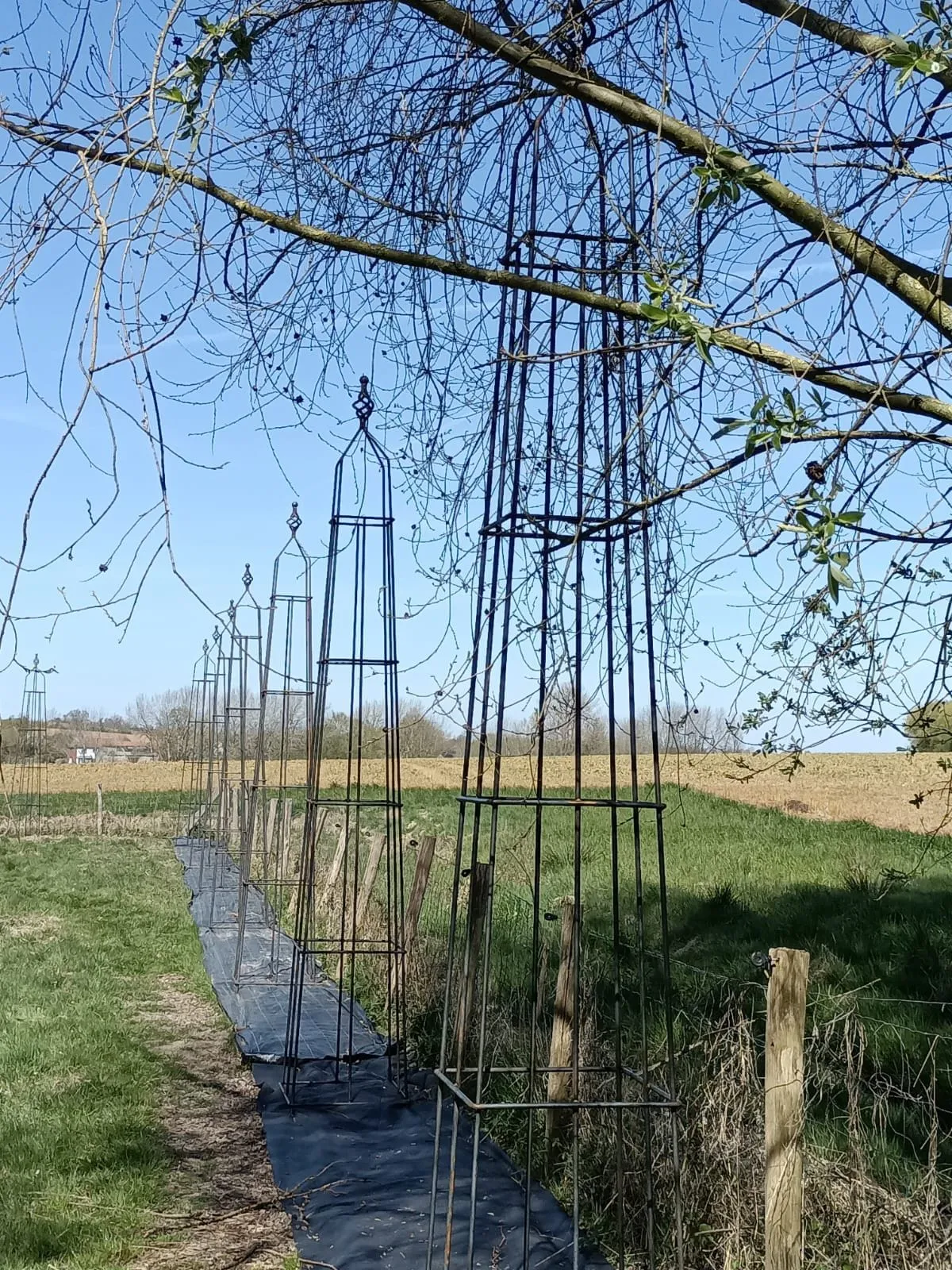 Des structures métalliques élancées alignées le long d’une clôture