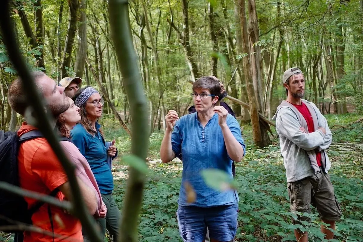 Un groupe écoute une animatrice en forêt